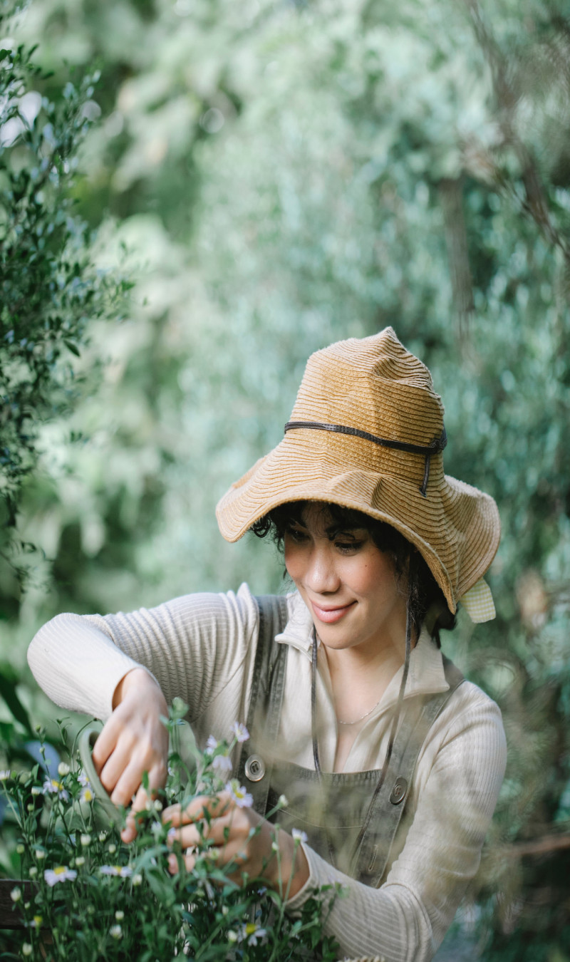 is franchise good idea?