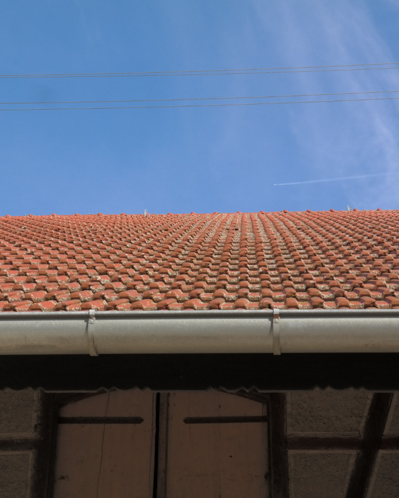 The Best Time of Year to Clean Your Gutters: A Seasonal Guide