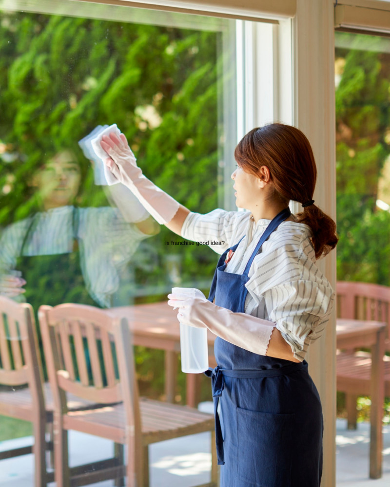 Eco-Friendly Window Cleaning: Sustainable Practices for Your Business image