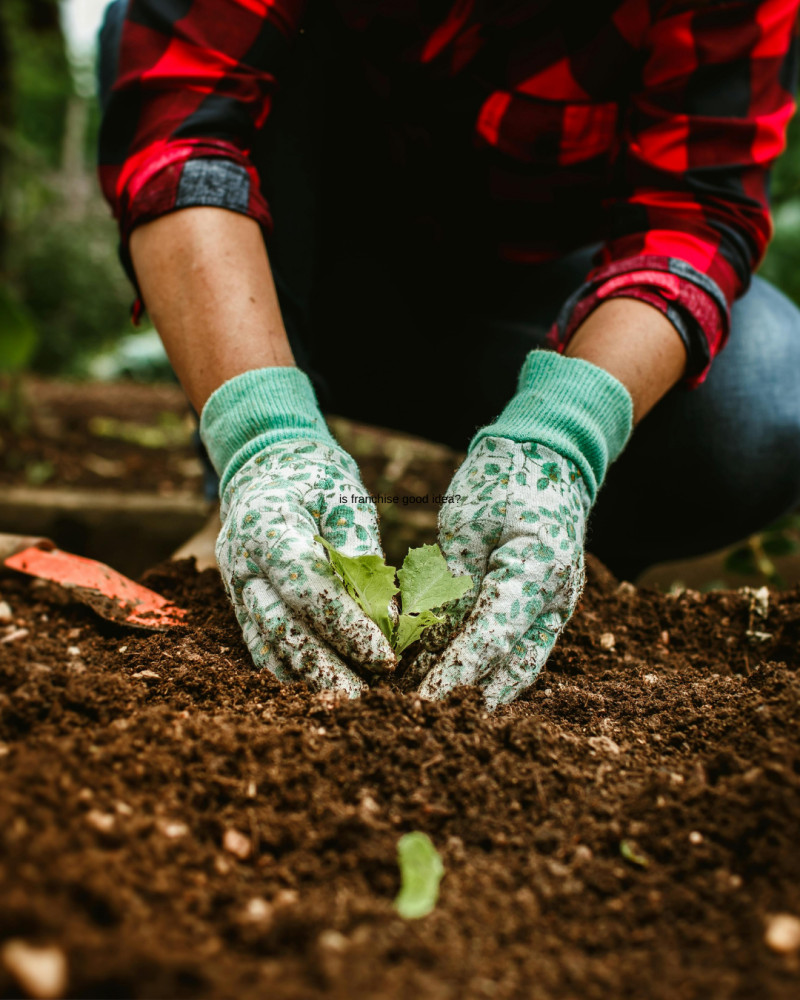 Essential Tools Every Gardener Needs in Their Toolkit image